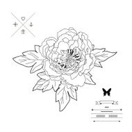 Beautiful peony bouquet design Hand drawn vector illustration N5