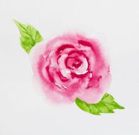 rose watercolor painted N3