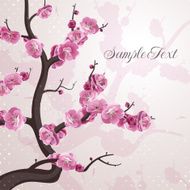 Cherry flowers Card with spring blossom