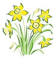 spring flowers N31