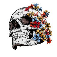 Skull with flowers N2