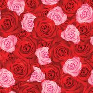 Roses N73