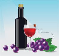 Red wine &amp; grapes