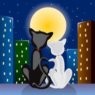 Romantic cats