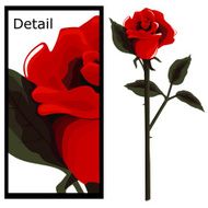 Long Stem Red Rose N6
