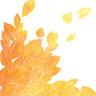 Floral composirion with leaves by watercolor N5
