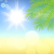Sunny background with palm leaves N3
