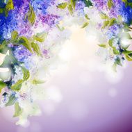 Lilac flowers background N12