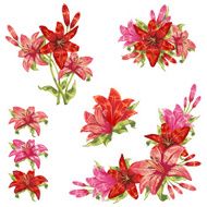 Gentle floral set of flower elements isolated N3