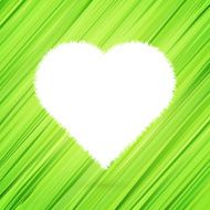 Green heart with abstract herbs texture