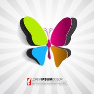 Greeting card with paper butterfly - design vector eps10 N5