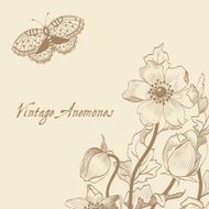 Vector floral spring card with flowers and butterfly anemones N2
