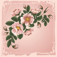 vintage floral background N48