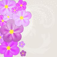 Abstract Colorful Background with Flowers Vector Illustration N14