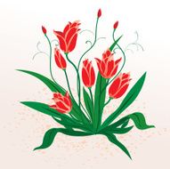 Tulips N17