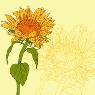floral card with sunflowers N4