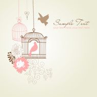 Retro Birdcage Design N6