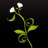 Flowers or diamonds