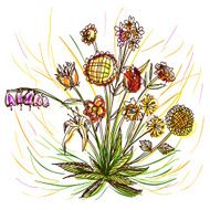 Flowers in color sketch style