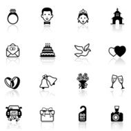 Wedding icon set N12