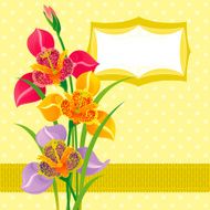 Tigridia Invitation