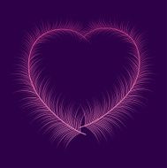 Feather heart N3