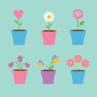 Set of six flowers in pots Blue background Card