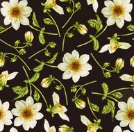 Dahlia flower watercolor botanical pattern N2