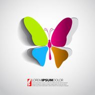 Greeting card with paper butterfly - design vector eps10 N6
