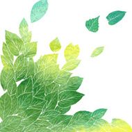 Floral composirion with leaves by watercolor N7