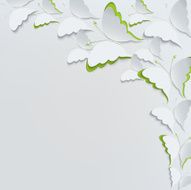 White butterflies on a white background