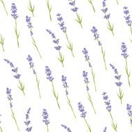 Seamless lavender pattern N2