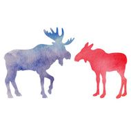Animals N65