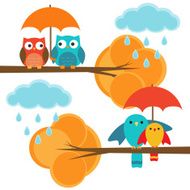 Autumn birds and owls