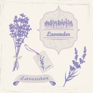 Lavender N2