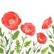 Poppies bouquet seamless border composition