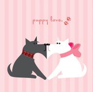Puppy Love N10