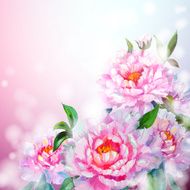 Peonies flowers background N11