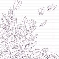 ink drawing leaves at lined paper N2