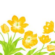 Tulips bouquet seamless border composition N2
