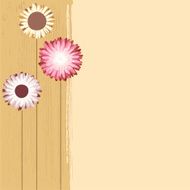 aster card