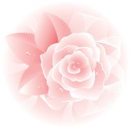 Rose pink