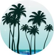 Beautiful tropical seascpae
