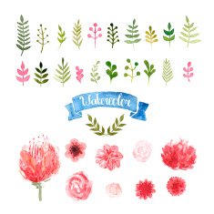 Watercolor flowers laurels and leaves N2