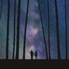 Lovers in forest N3