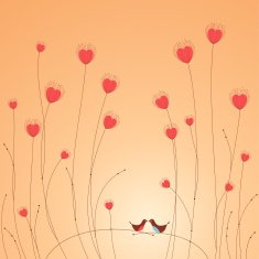 birds love N6