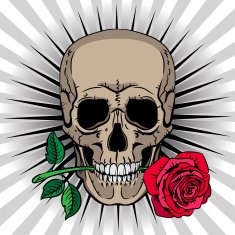 Skull holding a rose in his mouth