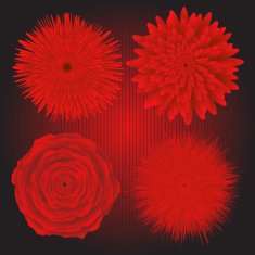 Red Flowers N17