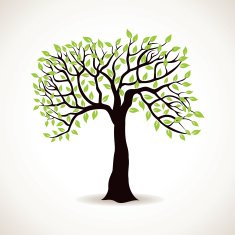 Green tree N13