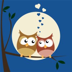 Owls In Love N10